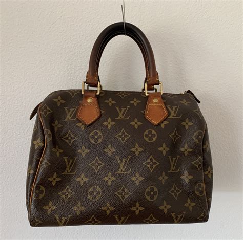 trendy louis vuitton bags.